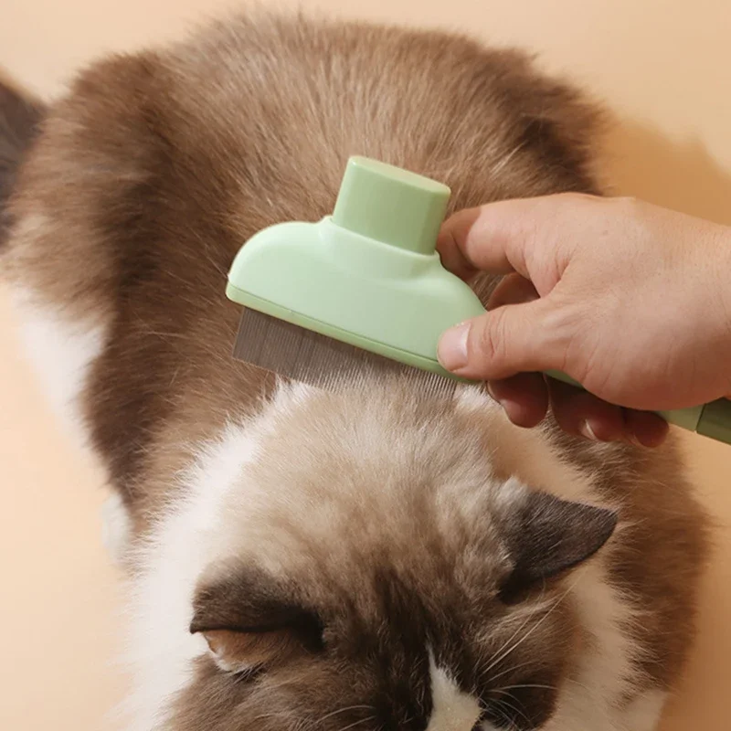 Pente para gatos e gatos, esco - Makeup Beauty Ro avaliação e preço